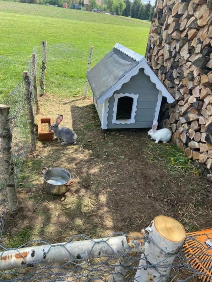 Domek Na Uboczu Gryfów Śląski Exteriör bild